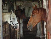 Helen&oacute;w. Ludowy Klub Jeździecki "Mała Stajnia", Helen&oacute;w 21, widok na ośrodek i konie (fot. Piotr Wojtaszek)