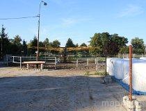 Stadnina Koni Syriusz (fot. Łukasz Wandachowicz)