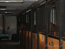 Stajnia Super Slide Stables (fot. Łukasz Wandachowicz)