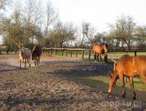 Głaz. Ośrodek wczasów dziecięcych TPD  i ośrodek jazdy konnej (fot. Bartosz Stępień)