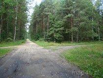 Małe Końskie. Rozwidlenie dróg przy rezerwacie przyrody. (fot. Karolina Pawlak)