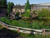 Wolbórz. Biały Koń – Bar Noclegi, ul. Kościuszki 25 (fot. Piotr Solle)