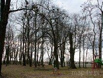 Naramice. Park podworski, obecnie wiejski (fot. Tomasz Szwagrzak)