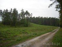 Rezerwat "Nowa Wieś". (fot. Magdalena Siwik)