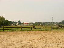 Skotniki. Stajnia Skotniki. (fot. Leszek Łuchniak)