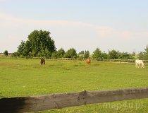 Skotniki. Stajnia Skotniki. (fot. Leszek Łuchniak)