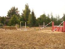 Skotniki. Stajnia Skotniki. (fot. Leszek Łuchniak)