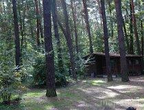 Budy Grabskie. Ośrodek Turystyki Kajakowej "Sosenka". Otoczenie domk&oacute;w letniskowych. (fot. Dominika Pusta.)