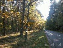 Budy Grabskie. Ośrodek Turystyki Kajakowej "Sosenka". Okolice. (fot. Monika Starecka)