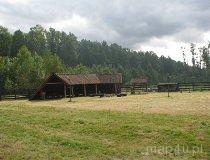 Leśnicz&oacute;wka Gałk&oacute;w. Leśny Punkt Edukacyjny i punkt postojowy na szlaku konnym (fot. Tomasz Szwagrzak)