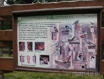 Leśnicz&oacute;wka Gałk&oacute;w. Leśny Punkt Edukacyjny i punkt postojowy na szlaku konnym (fot. Tomasz Szwagrzak)