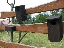 Leśnicz&oacute;wka Gałk&oacute;w. Leśny Punkt Edukacyjny i punkt postojowy na szlaku konnym (fot. Tomasz Szwagrzak)