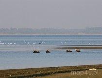 Zbiornik Jeziorsko. (fot. Łukasz Konieczny)