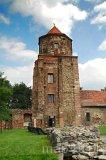 Toszek, Zamek (fot. Krzysztof Jędryczkowski)