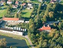 Żory. Park zabytkowy - aleja dębowa (fot. Kacper Dondziak)
