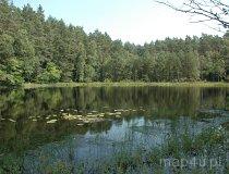 Drawieński Park Narodowy. Jezioro w parku (fot. Piotr Wojtaszek)