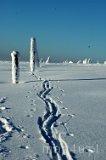 Karkonosze. Karkonoski Park Narodowy (fot. Dolnośląska Organizacja Turystyczna)