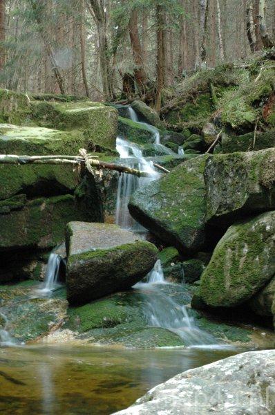 Karkonoski Park Narodowy (fot. Piotr Wojtaszek)