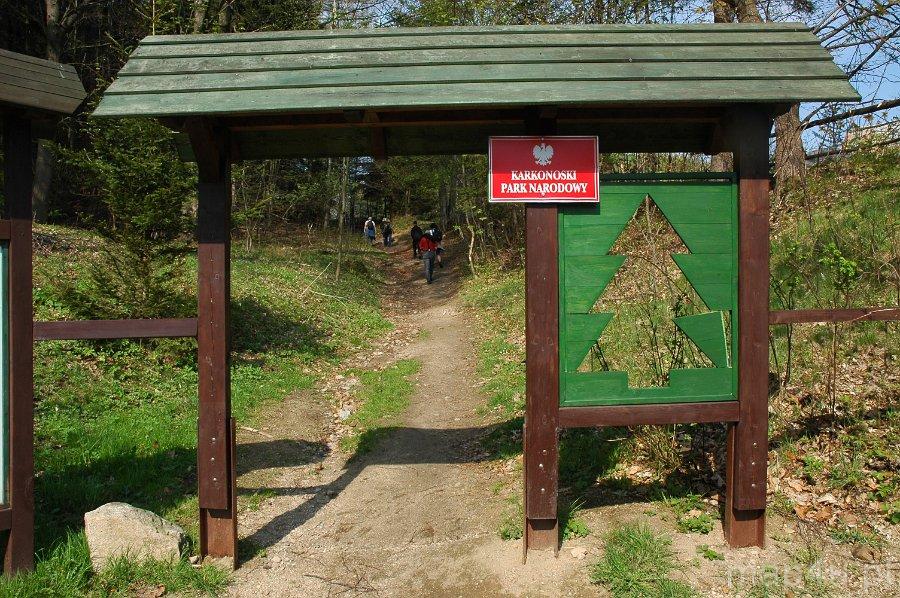 Karkonoski Park Narodowy (fot. Piotr Wojtaszek)