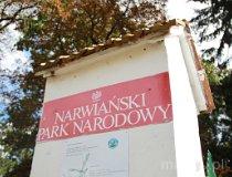 Kurowo. Narwiański Park Narodowy (fot. Agnieszka Rytel)