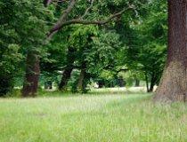 Łęknica. Park Mużakowski (fot. Magdalena Koleina)