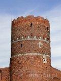 Ciechanów. Ruiny Zamku (fot. Danuta Ruminowicz)