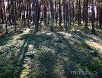 Odry. Rezerwat Kamienne Kręgi (fot. Łukasz Konieczny)