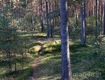 Odry. Rezerwat Kamienne Kręgi (fot. Łukasz Konieczny)