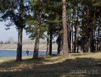 Smardzewice. Zalew Sulejowski (fot. Piotr Solle)