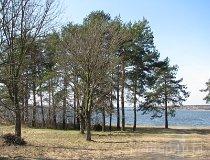 Smardzewice. Zalew Sulejowski (fot. Tomasz Szwagrzak)