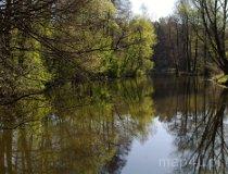 Barycz. Stawy przy młynie - łowisko (fot. Piotr Solle)