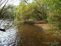 Widawka na wysokości Rembieszowa w Parku Krajobrazowym Międzyrzecza Warty i Widawki. (fot. Marta Pabich-Makoska)