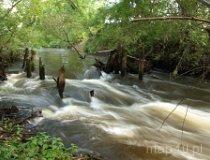Widawka. Pozostałości dawnej budowli hydrotechnicznej. (fot. Marta Pabich-Makoska)