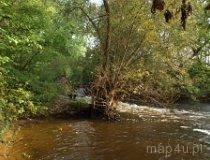 Widawka na wysokości Rembieszowa w Parku Krajobrazowym Międzyrzecza Warty i Widawki. (fot. Marta Pabich-Makoska)