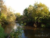 Widawka na wysokości Rembieszowa w Parku Krajobrazowym Międzyrzecza Warty i Widawki. (fot. Marta Pabich-Makoska)