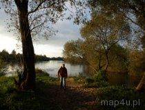 Ujście Widawki do Warty. (fot. Marta Pabich-Makoska)