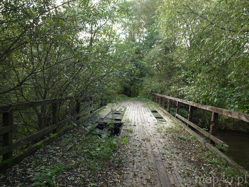 Rzeka Widawka Portal Turystyki Aktywnej