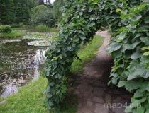 Rogów. Arboretum - alpinarium (fot. Piotr Solle)