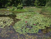 Rogów. Arboretum - alpinarium (fot. Piotr Solle)
