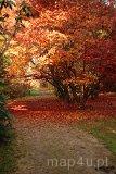 Rogów. Arboretum (fot. Monika Krawętek-Foryś)