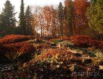 Rogów. Arboretum (fot. Monika Krawętek-Foryś)
