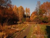 Rogów. Arboretum (fot. Monika Krawętek-Foryś)