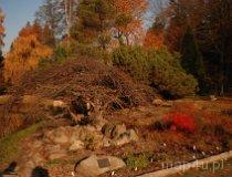 Rogów. Arboretum (fot. Monika Krawętek-Foryś)