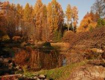 Rogów. Arboretum (fot. Monika Krawętek-Foryś)