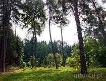 Rogów. Arboretum (fot. Marek i Ewa Wojciechowscy)