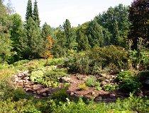 Rogów. Arboretum (fot. Marek i Ewa Wojciechowscy)
