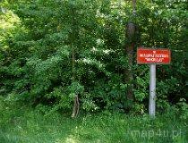 Rezerwat leśny „Mokry Las” (fot. Piotr Solle)