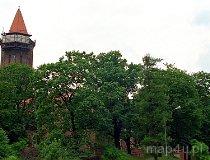 Legnica. Zamek piastowski (fot. Marek i Ewa Wojciechowscy)