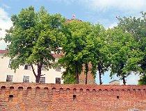 Łagów. Zamek Joanitów (fot. Marek i Ewa Wojciechowscy)