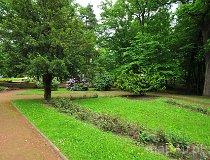 Park Zdrojowy im. M. Witczaka w Jastrzębiu-Zdroju (fot. Krzysztof Jędryczkowski)